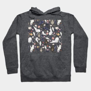 Playful cats Hoodie